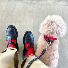 画像をギャラリービューアに読み込む, Anne number of 「Tストラップの靴」PuntoPigro